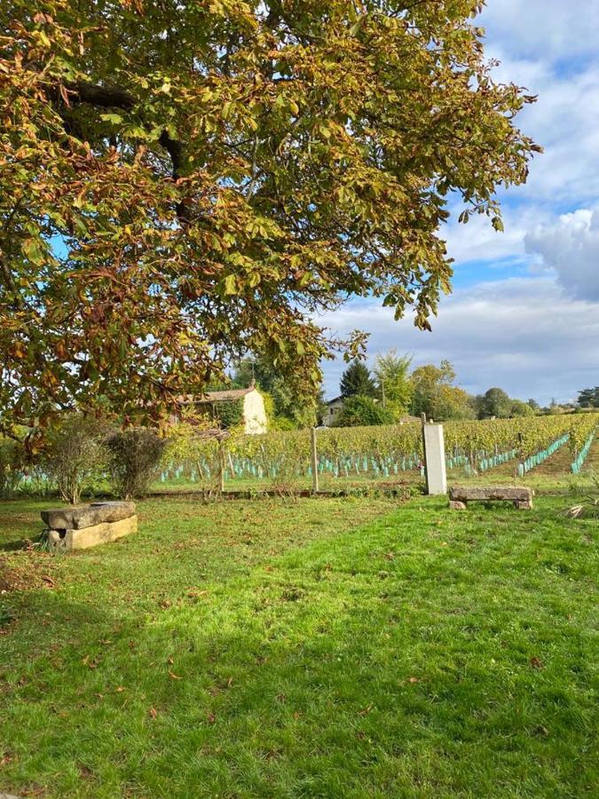 Le Jardin Dans Les Vignes Bed & Breakfast Barsac  ภายนอก รูปภาพ