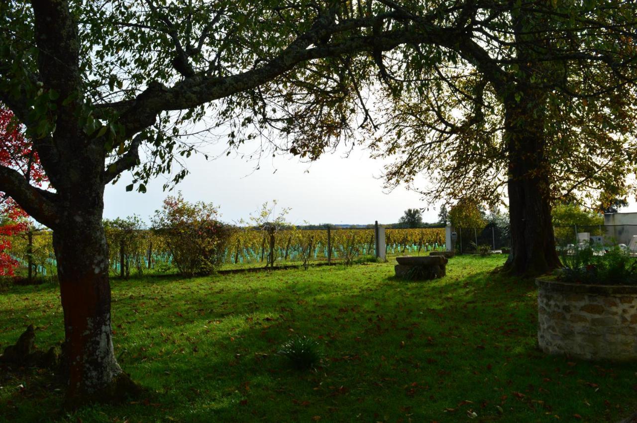 Le Jardin Dans Les Vignes Bed & Breakfast Barsac  ภายนอก รูปภาพ