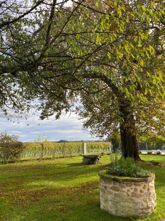 Le Jardin Dans Les Vignes Bed & Breakfast Barsac  ภายนอก รูปภาพ